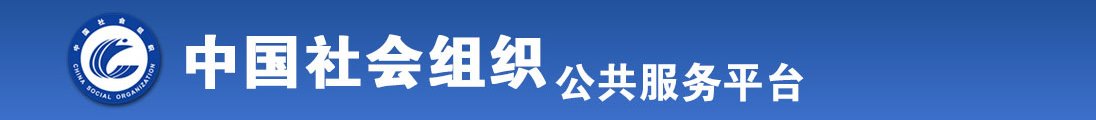 男人肏女人的屄户外直播国产全国社会组织信息查询